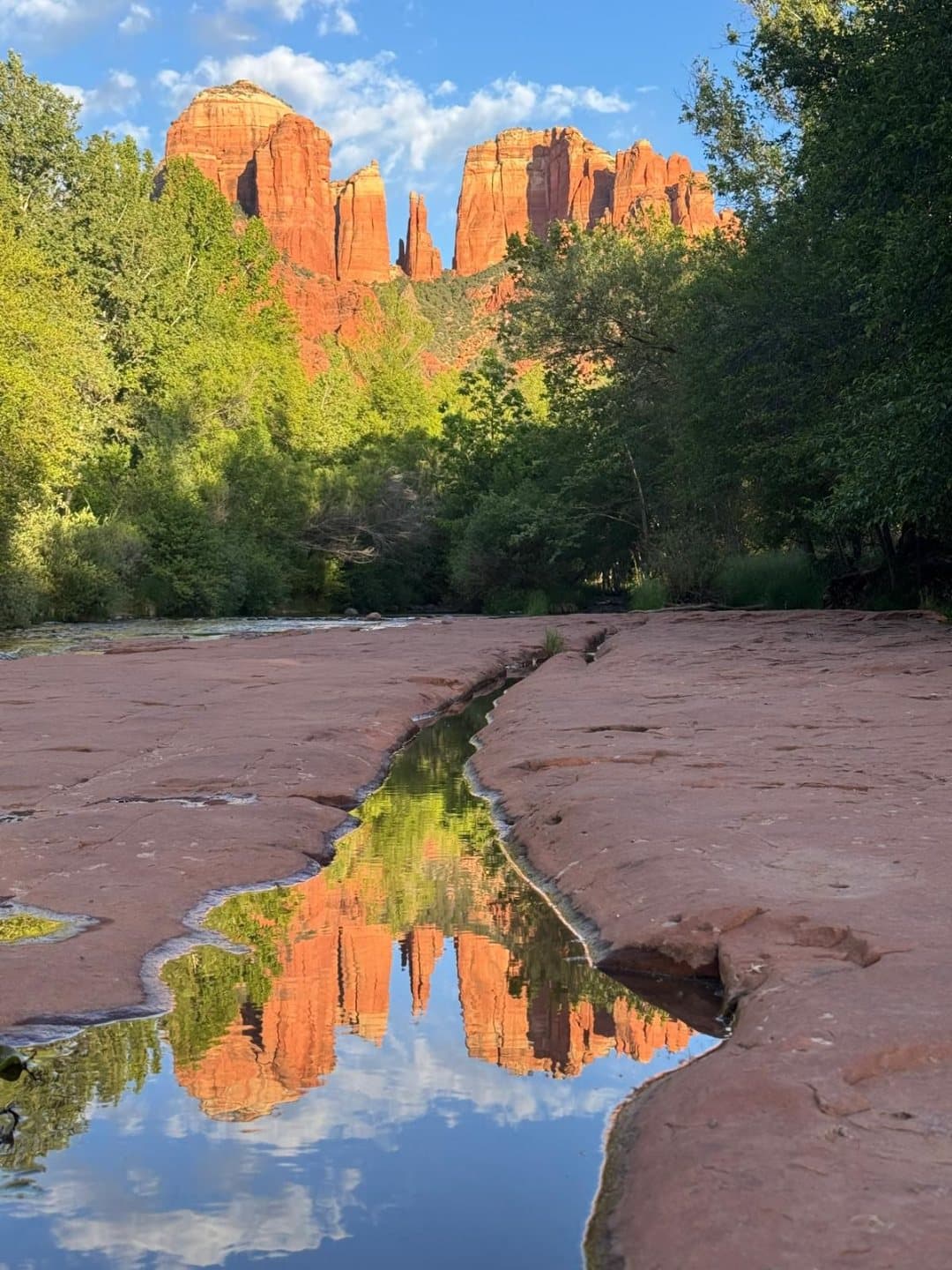 Cathedral Rock reflected in a pool of water on the red rock